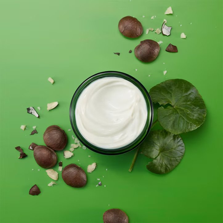 Weleda Skin Food Face Care Nourishing Night Cream - 40ml