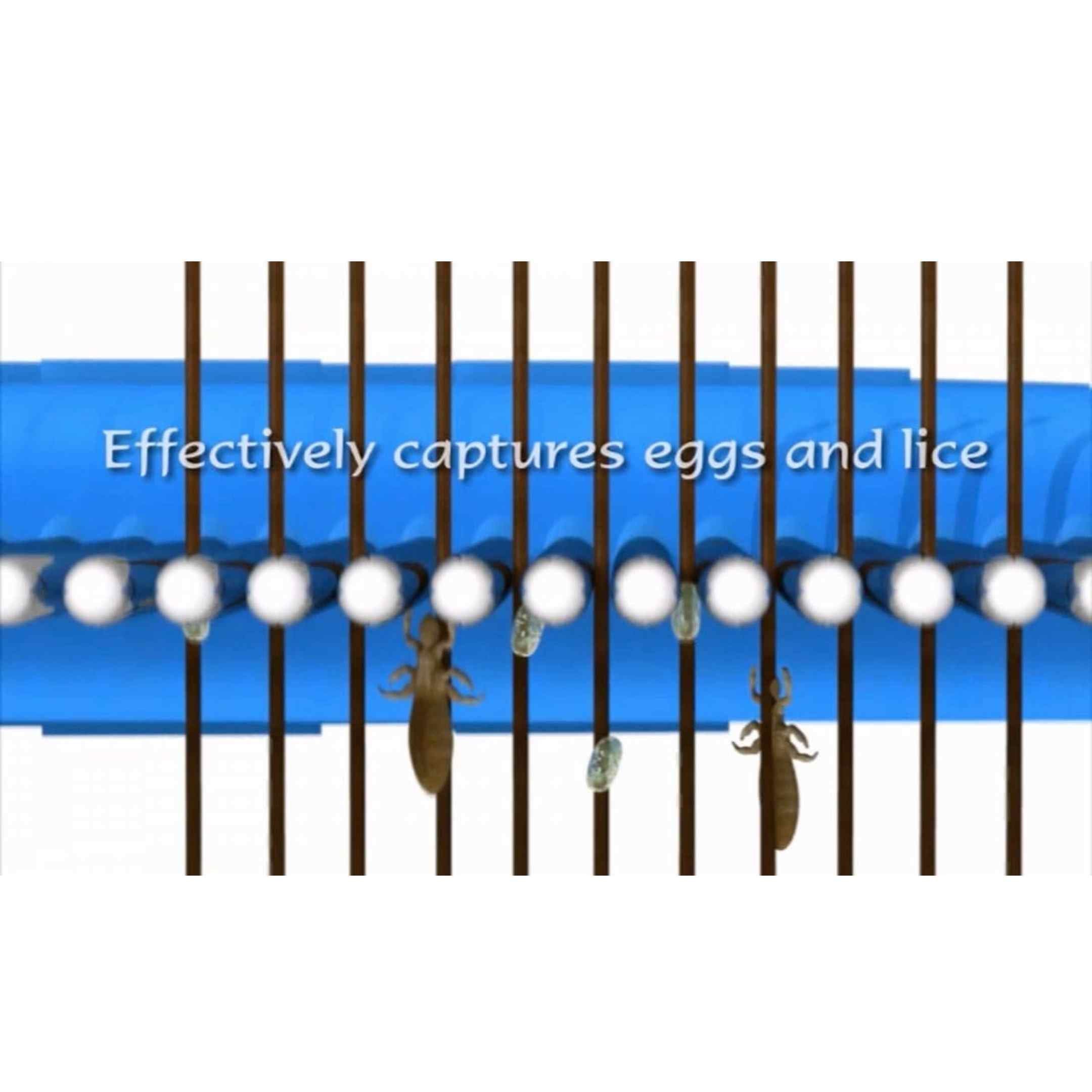 Shantys Nit Comb - S1