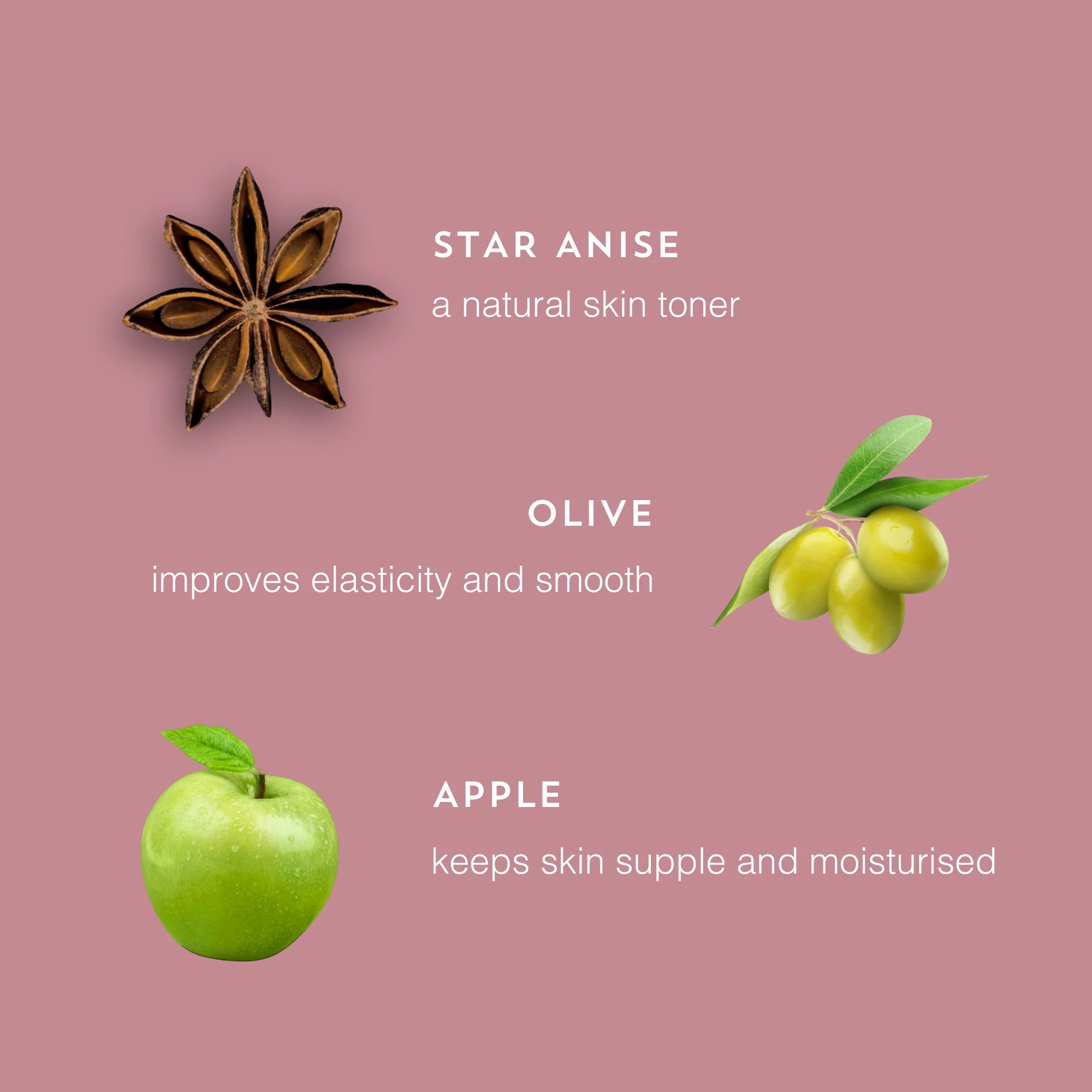 BeautyPro Hand Therapy key ingredients star anise, olive and apple extracts infographic
