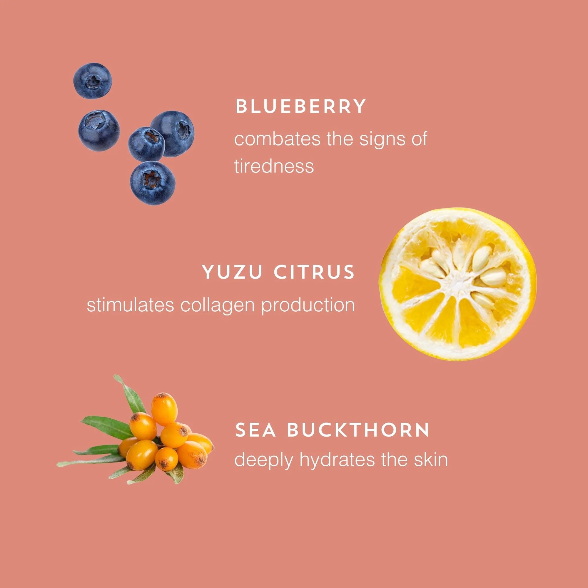 Key natural ingredients in BeautyPro Vitamin C Serum – yuzu, blueberry, sea buckthorn