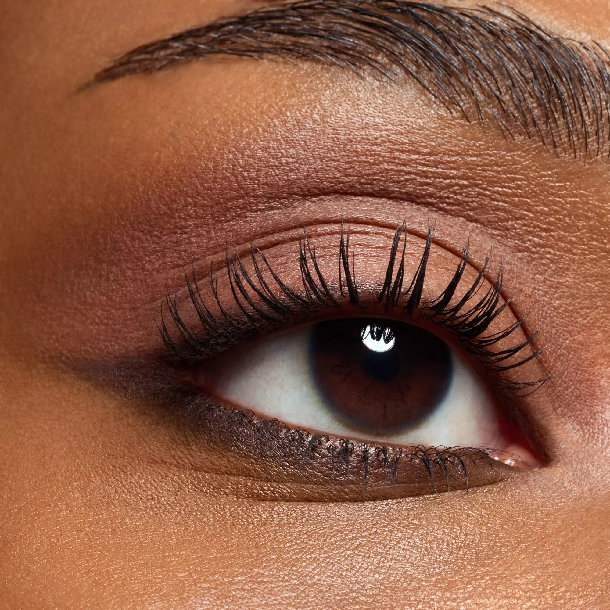 Close-up of Catrice nude and brown matte shimmer eyeshadow shades