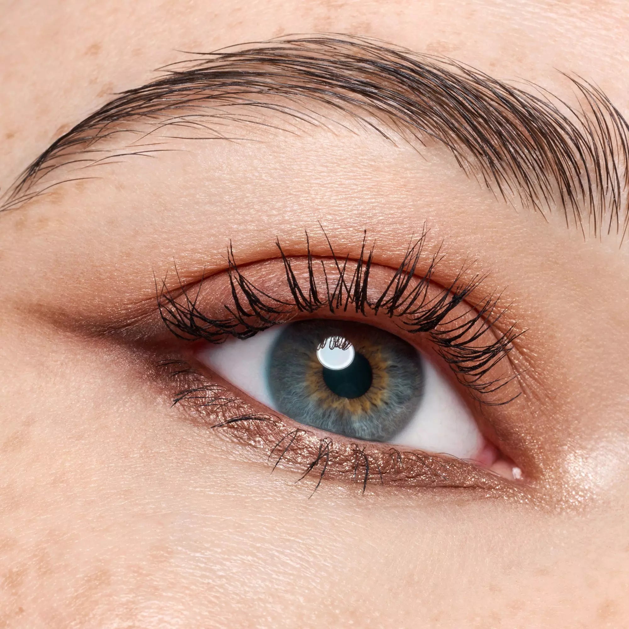Velvety nude and chocolate tones from Catrice Dark Cocoa Palette