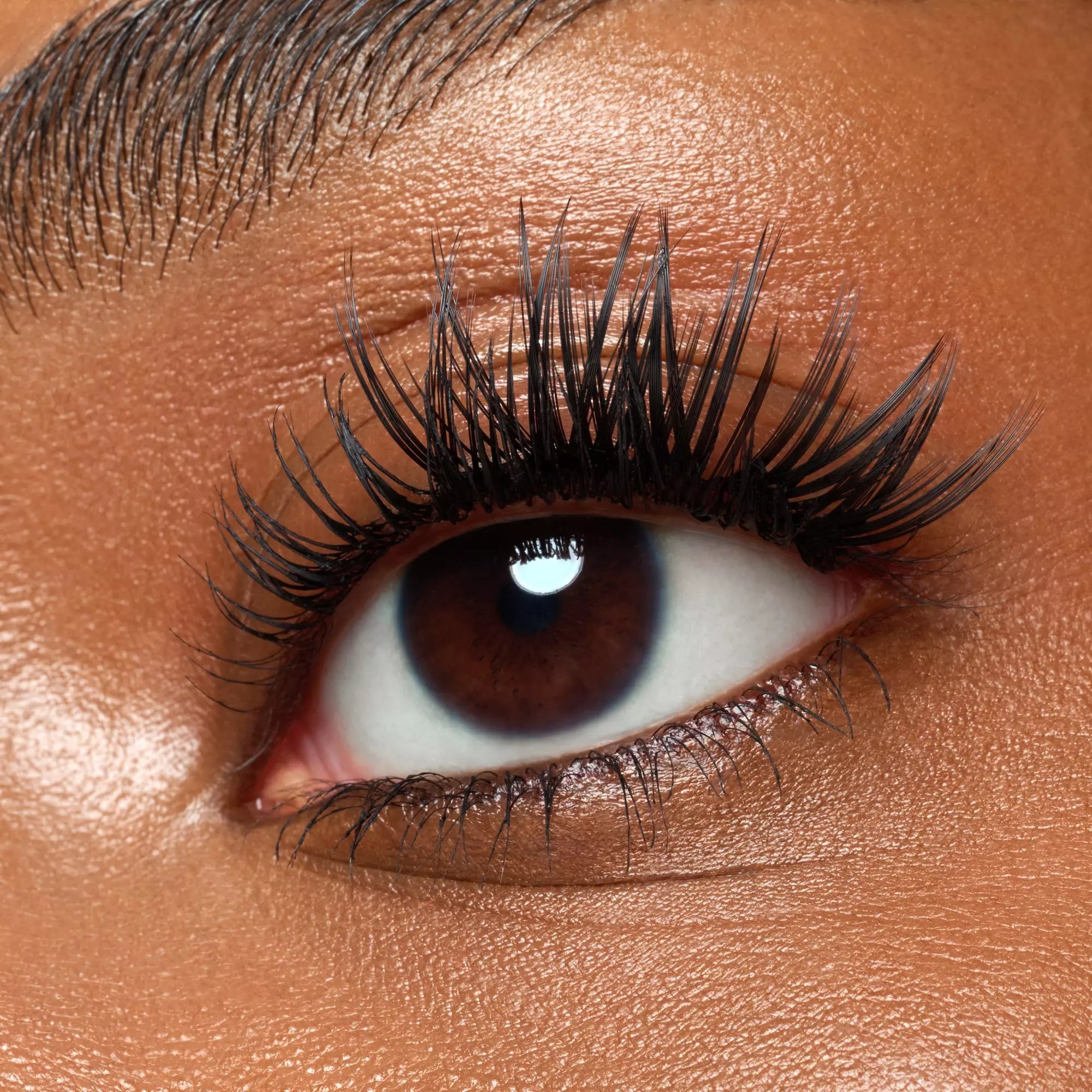 Catrice Faked Volume Cluster Lashes with glue – reusable vegan lash set for custom volume