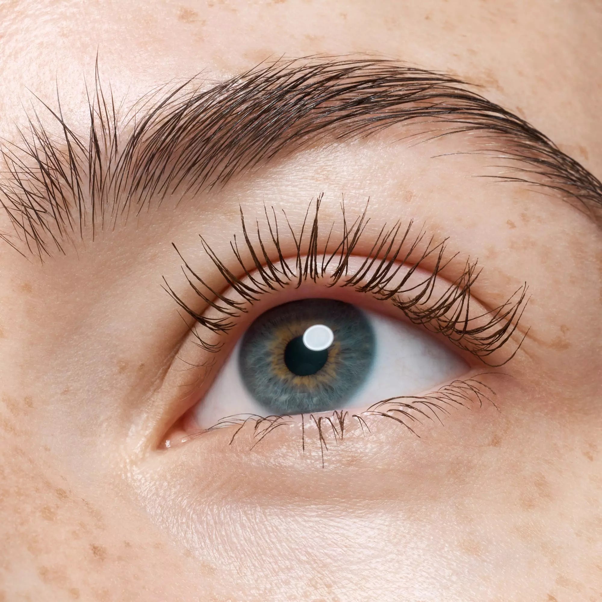 Catrice Glam & Doll Mascara in brown on lashes for natural everyday eye makeup