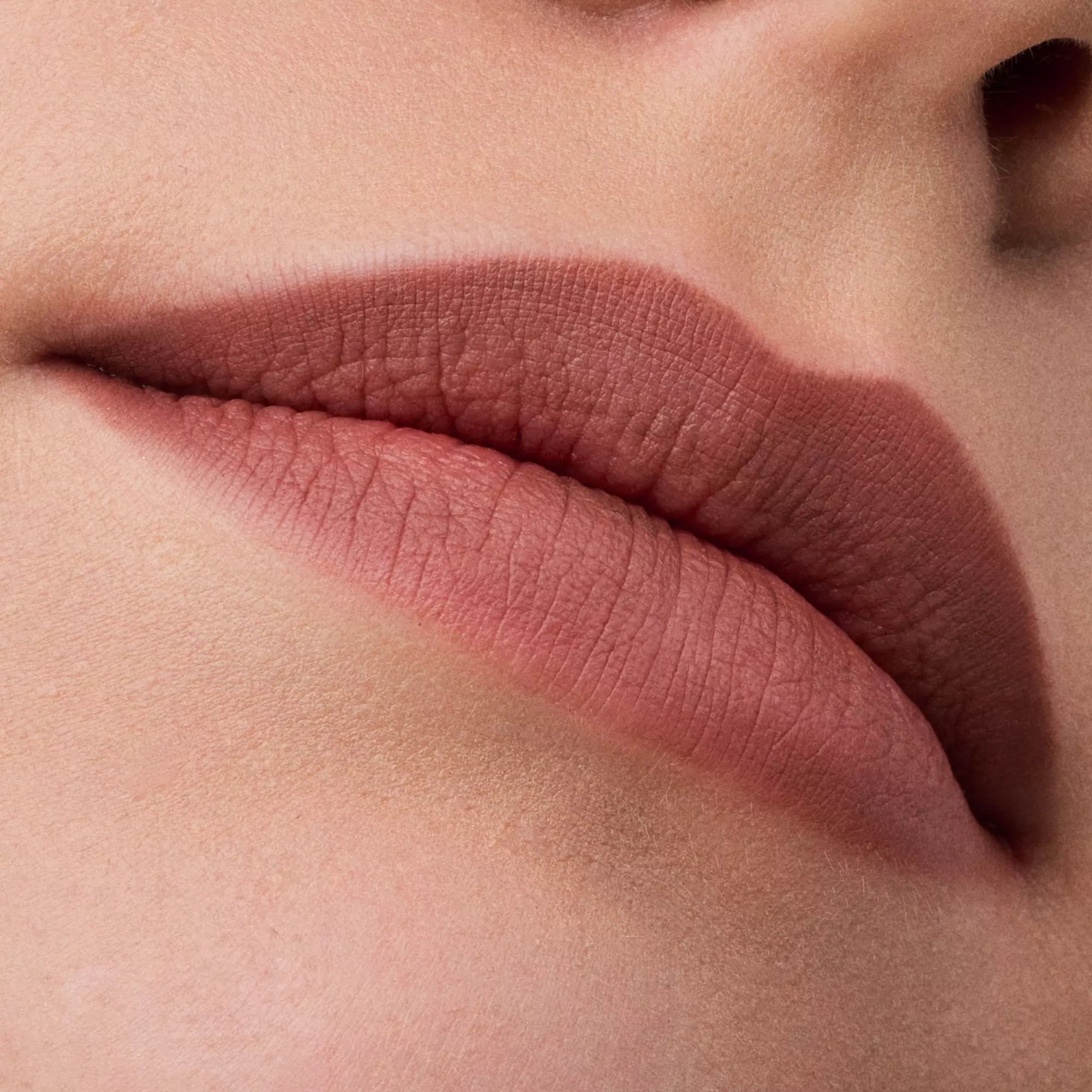 Catrice 69 Manhattan Plumping Lip Liner With Intense Hydration