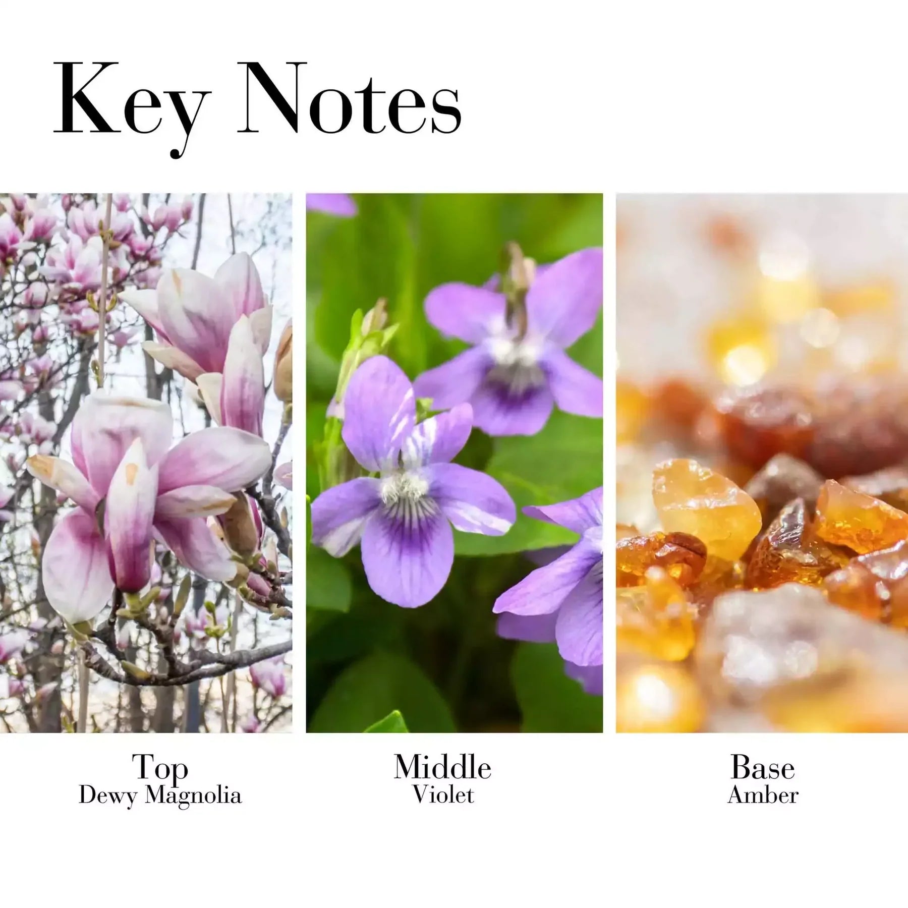 5th Avenue EDP 75ml product shot with floral accents — floral-woody perfume for women, key notes.