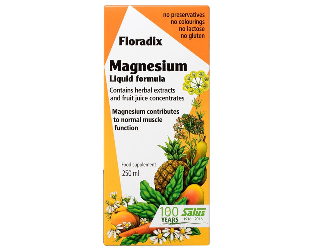 Salus Floradix Magnesium Liquid Formula 200ml