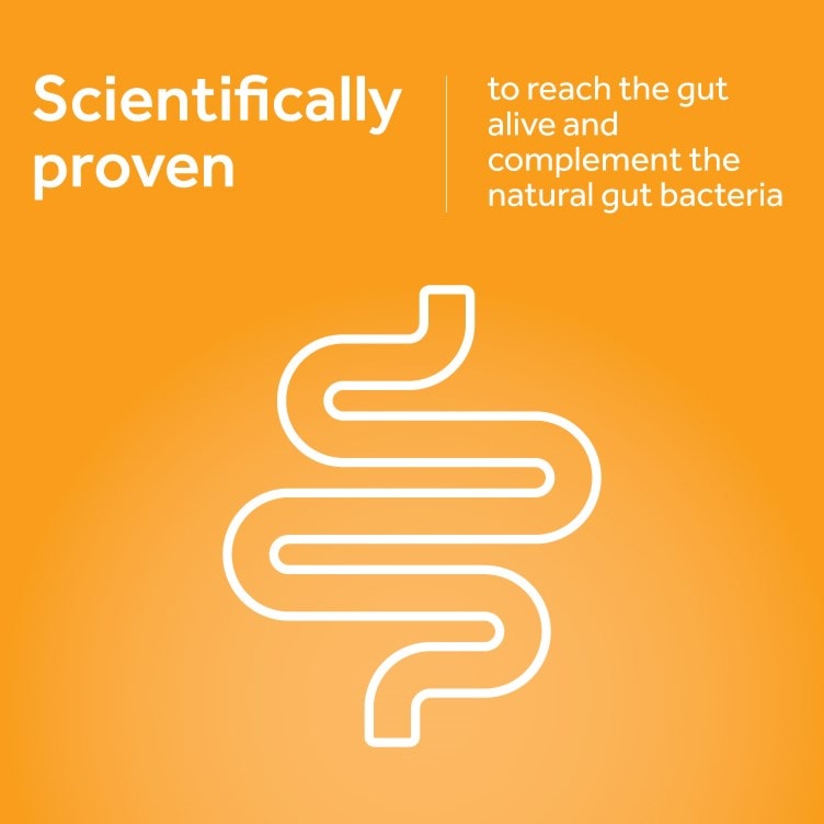 Scientifically proven live cultures for gut health while travelling