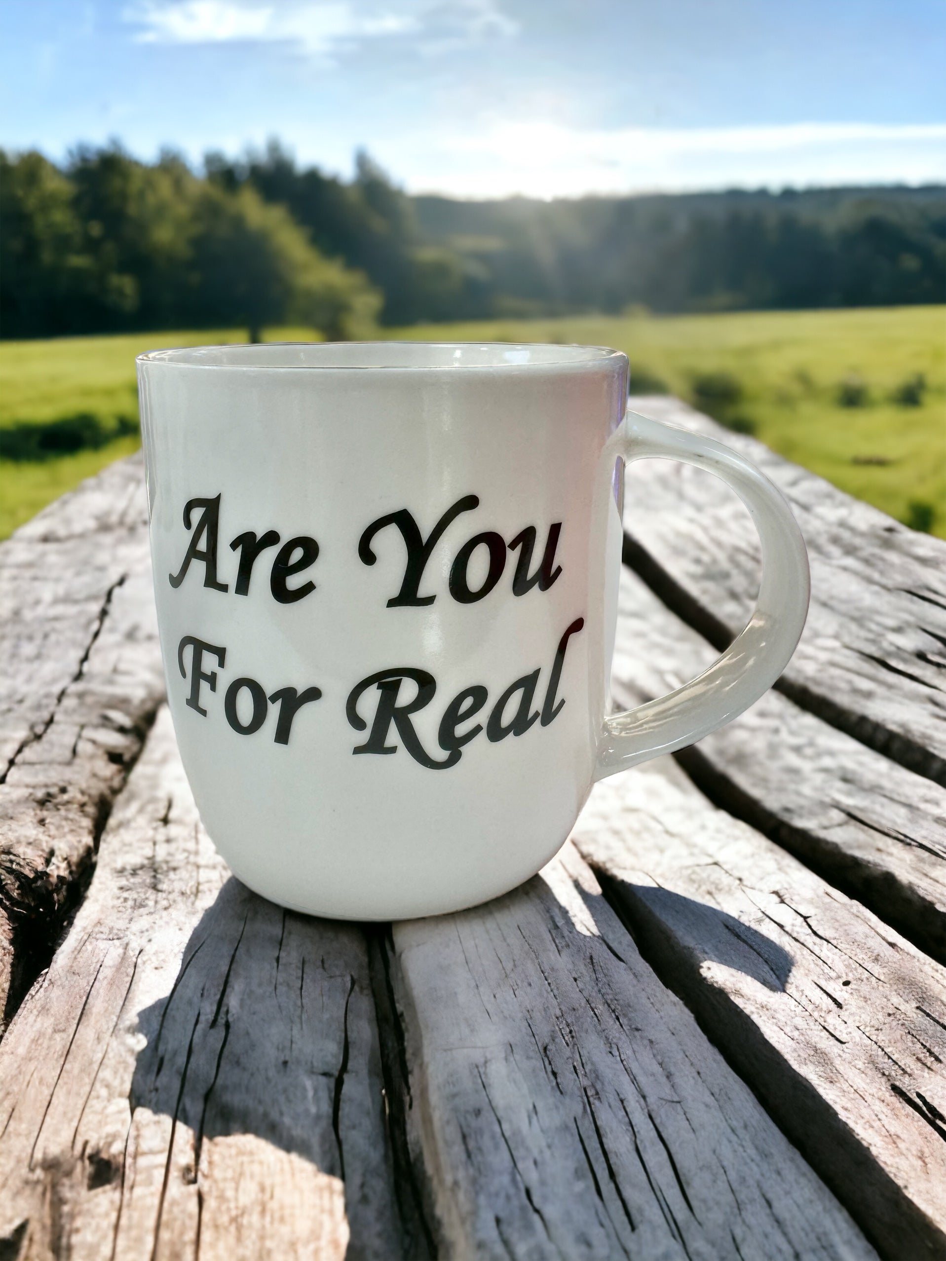 Shannonbridge Pottery Are You For Real Irish Sayings Mug