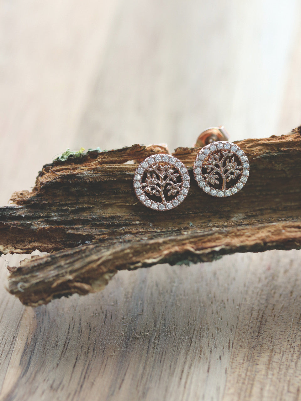 Tipperary Crystal Tol Crystal Circle Stud Earrings in Rose Gold