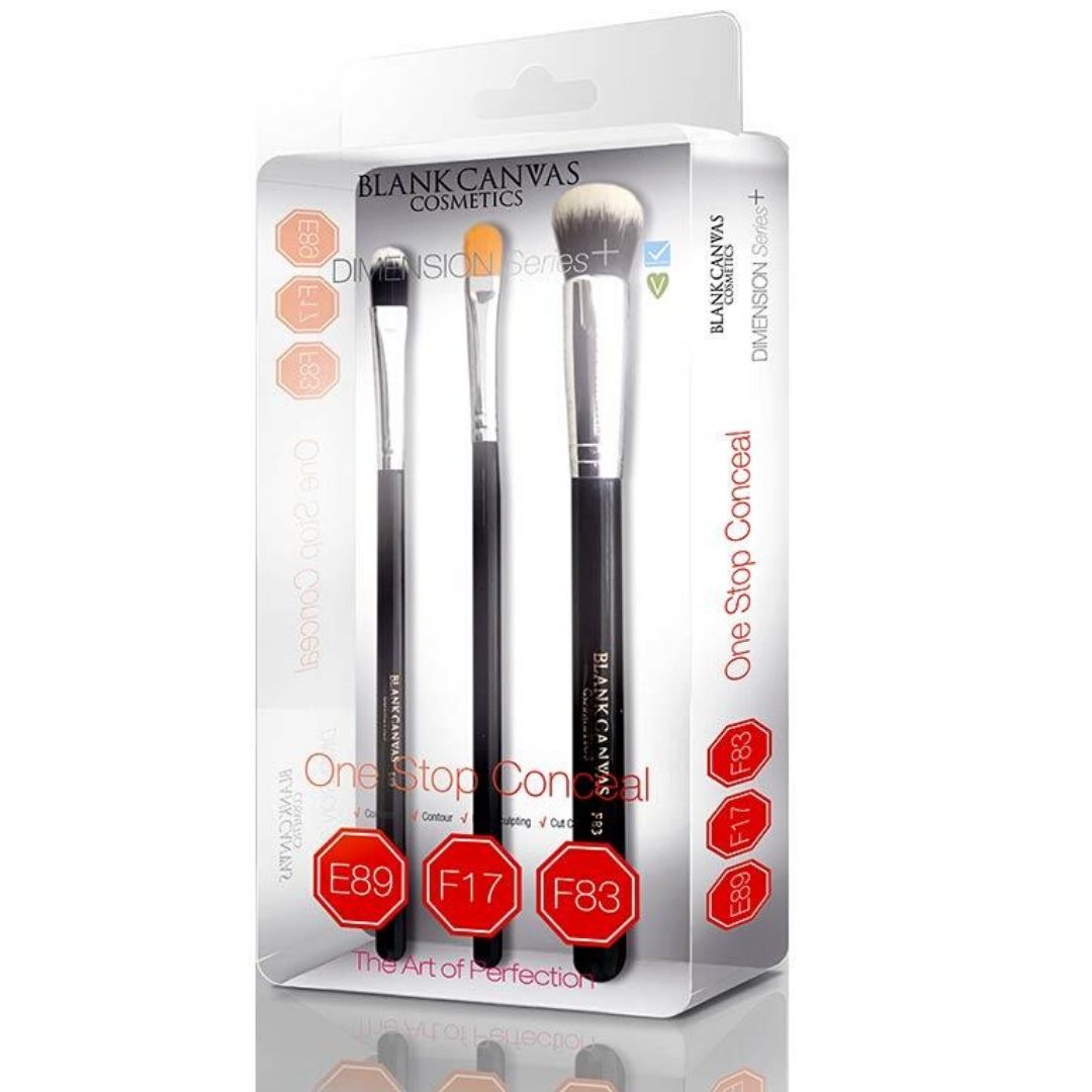 Blank Canvas Concealer Brush Gift Set